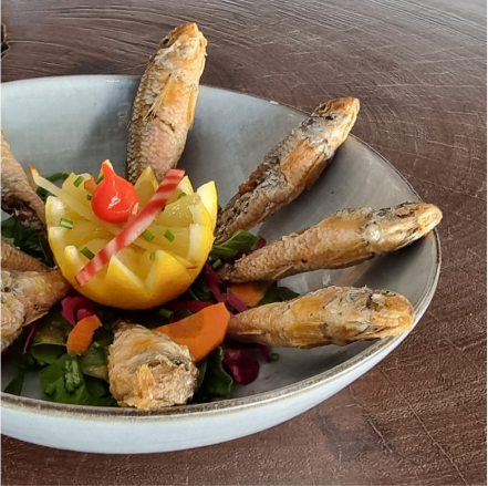 La carte - Tonton Pilou - restaurant PALAVAS-LES-FLOTS - restaurant sympa PALAVAS-LES-FLOTS